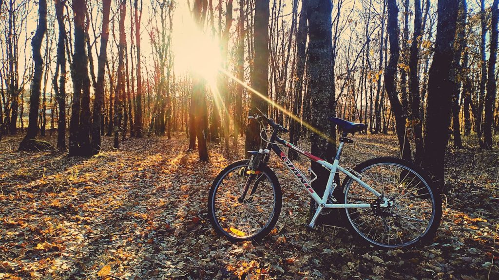 vélo automne
