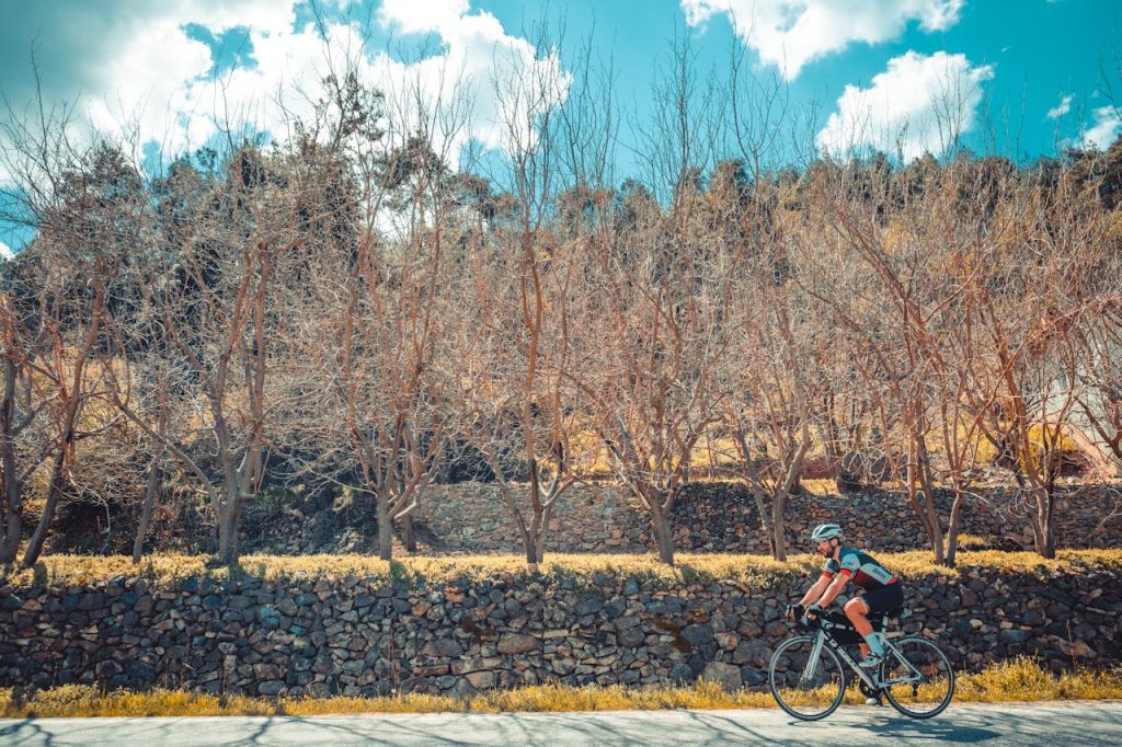 vélodyssée