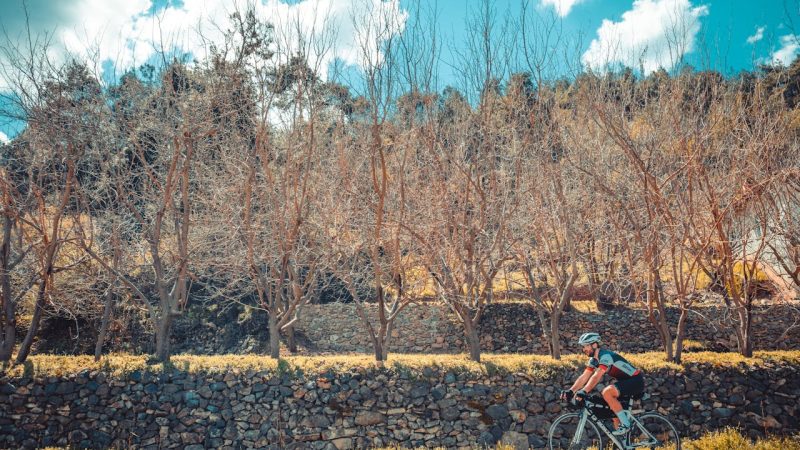 vélodyssée