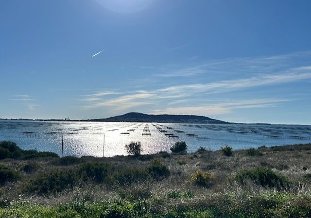 Etang de Thau