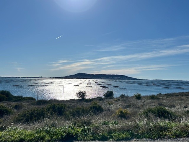 Etang de Thau